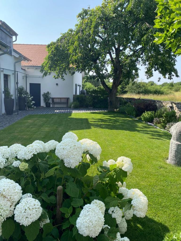 Ferienwohnung Colle Divino Würzburg Exterior foto